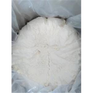 Semaglutide acetate salt