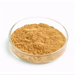 Maca Root Extract