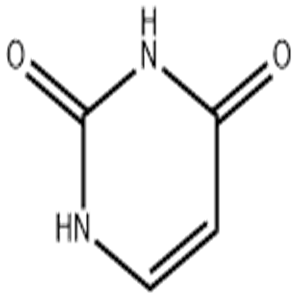 Uracil