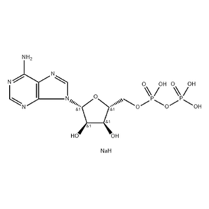 ADENOSINE 5'-DIPHOSPHATE SODIUM SALT