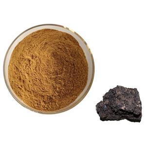 Shilajit Extract; Fulvic acid