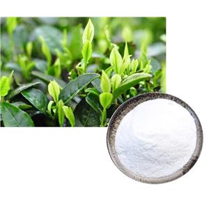 (-)-Epigallocatechin(EGC); Green tea extract