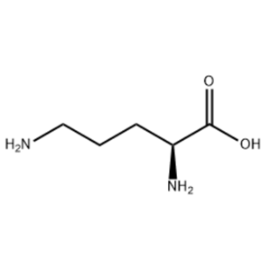 L-Ornithine