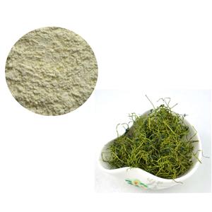 GYNOSTEMMA PLANT EXTRACT；GYPENOSIDES 