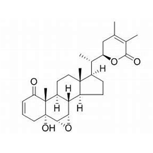 Ashwagandha Extract