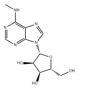 6-METHYLAMINOPURINE 9-RIBOFURANOSIDE