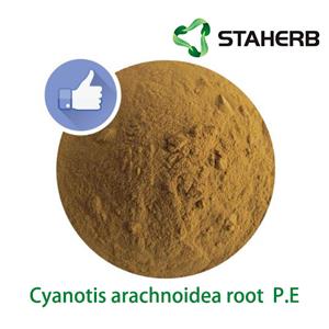 Cyanotis arachnoidea root  P.E