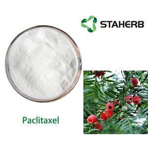 Paclitaxel