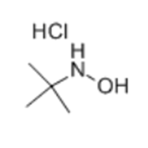 N-(TERT-BUTYL)HYDROXYLAMINE HYDROCHLORIDE