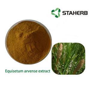 Equisetum arvense extract