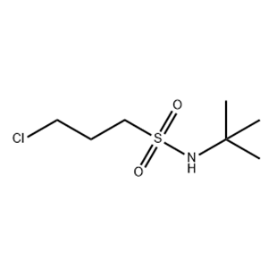 3-CHLORO-PROPANE-1-SULFONIC ACID TERT-BUTYLAMIDE