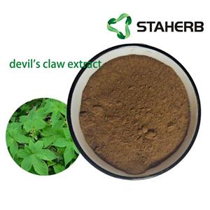 devil's claw extract