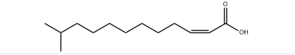 cis-Δ2-11-methyl-Dodecenoic Acid