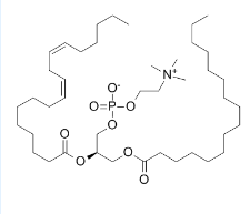 Sunflower Lecithin