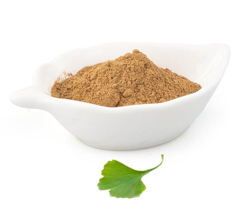 Ginkgo biloba extract