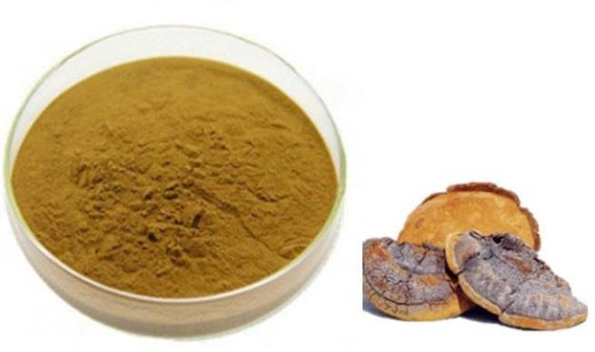 Phellinus igniarius extract total flavonids