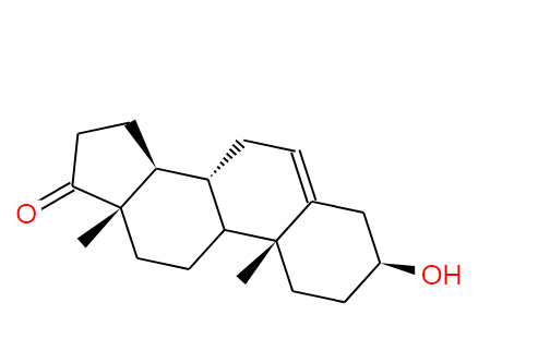 Dehydroepiandrosterone