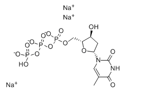 Deoxythymidine triphosphate