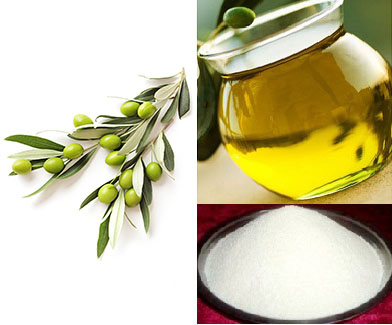 3,4-Dihydroxyphenylethanol; Olive leaf extract