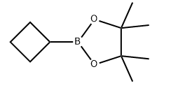 Cyclobutylboronic acid pinacol ester