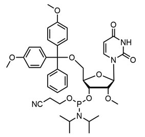 5'-O-(4,4-Dimethoxytrityl)-2'-O-methyluridine-3'-(2-cyanoethyl-N,N-diisopropyl)phosphoramidite