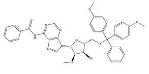 N6-BENZOYL-5'-(DIMETHOXYTRITYL)-2'-O-METHYLADENOSINE