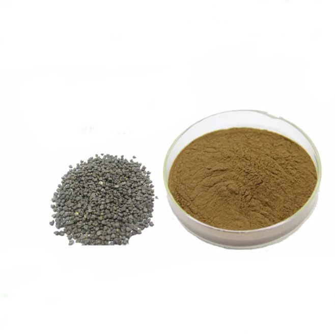 Malva Verticillata Extract