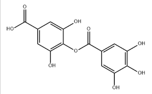 3,5-dihydroxy-4-[(3,4,5-trihydroxybenzoyl)oxy]benzoic acid