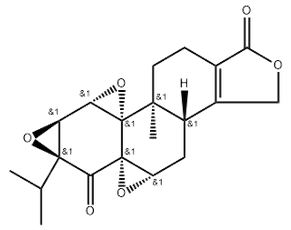 Triptonide