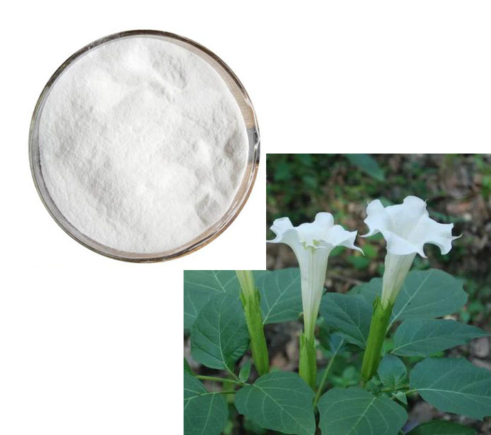 Scopolamine hydrobromide; Flos?daturae extract