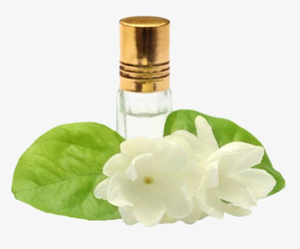 Jasmine Oil; Jasmine Flower Oil