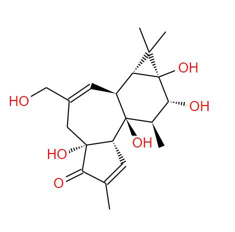 Phorbol