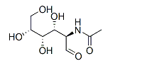 N-Acetyl-beta-D-glucosamine