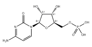  Polycytidylic acid (Poly C)