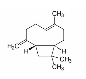 β-Caryophyllene 