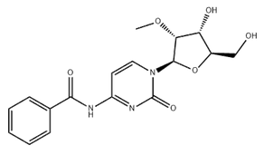 N4-BENZOYL-2'-O-METHYLCYTIDINE