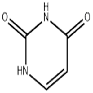 Uracil