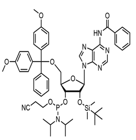 Bz-rA Phosphoramidite