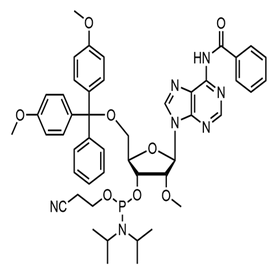 2’-O-Methyl-rA(N-Bz)phosphoramidite