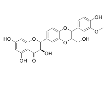 Isosilybin