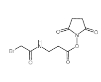 N-SUCCINIMIDYL 3-(BROMOACETAMIDO)PROPIONATE