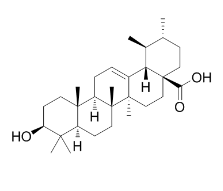 Ursolic Acid