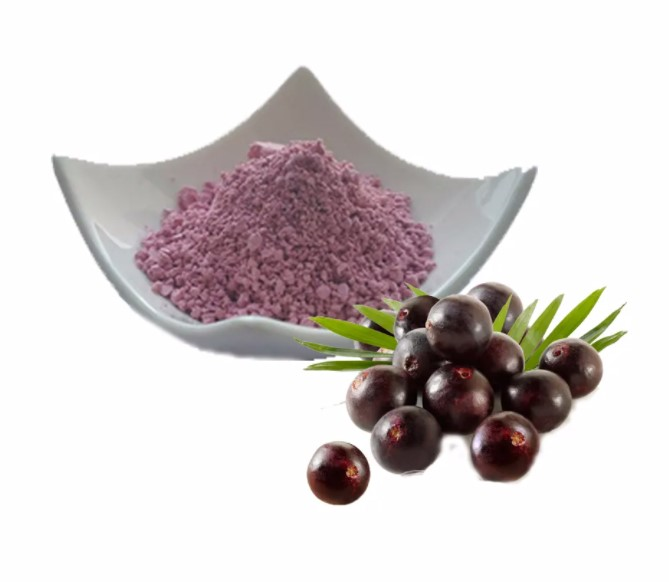 Maqui Berry Extract