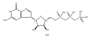 Guanosine 5'-triphosphate trisodium salt