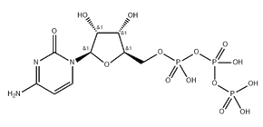 Cytidine 5'-triphosphate disodium salt