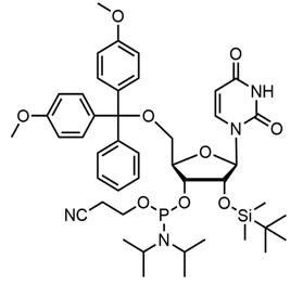 5'-O-(4,4-Dimethoxytrityl)-2'-O-[(tert-butyl)dimethylsilyl]uridine-3'-(2-cyanoethyl-N,N-diisopropyl)phosphoramidite