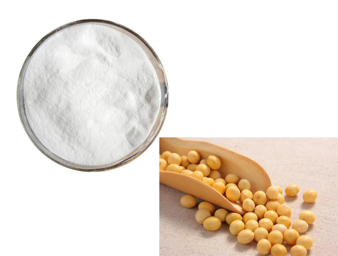 SOYASAPONIN I； Soybean Extract