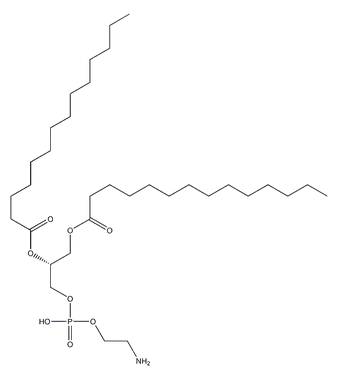 1,2-DIMYRISTOYL-SN-GLYCERO-3-PHOSPHOETHANOLAMINE