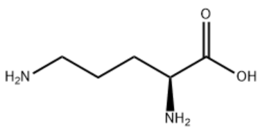 L-Ornithine