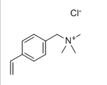 4-Vinylbenzyl trimethylammonium chloride (VBTMAC/QBM)